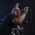 Click to enlarge GutterPunk - Professional Concert Photography